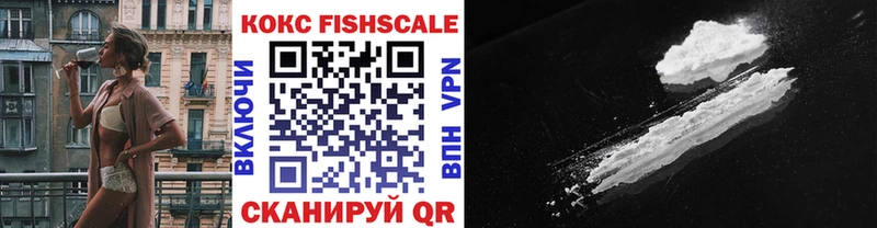 КОКАИН Fish Scale  Купить закладки  Калининград 