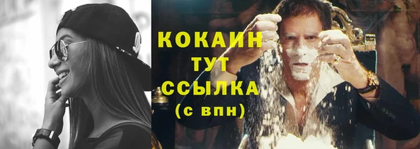 прущие грибы Вязники