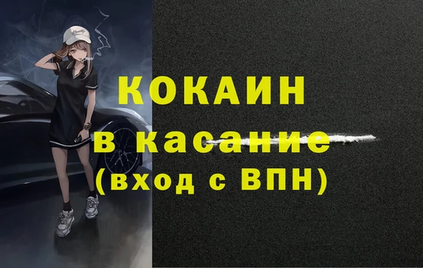 прущие грибы Вязники