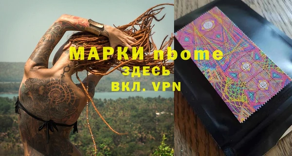 прущие грибы Вязники