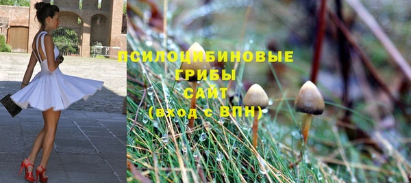 первитин Володарск