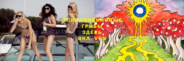 первитин Володарск