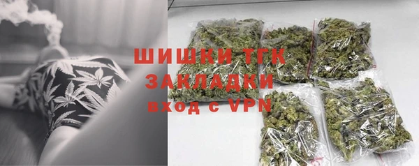 прущие грибы Вязники